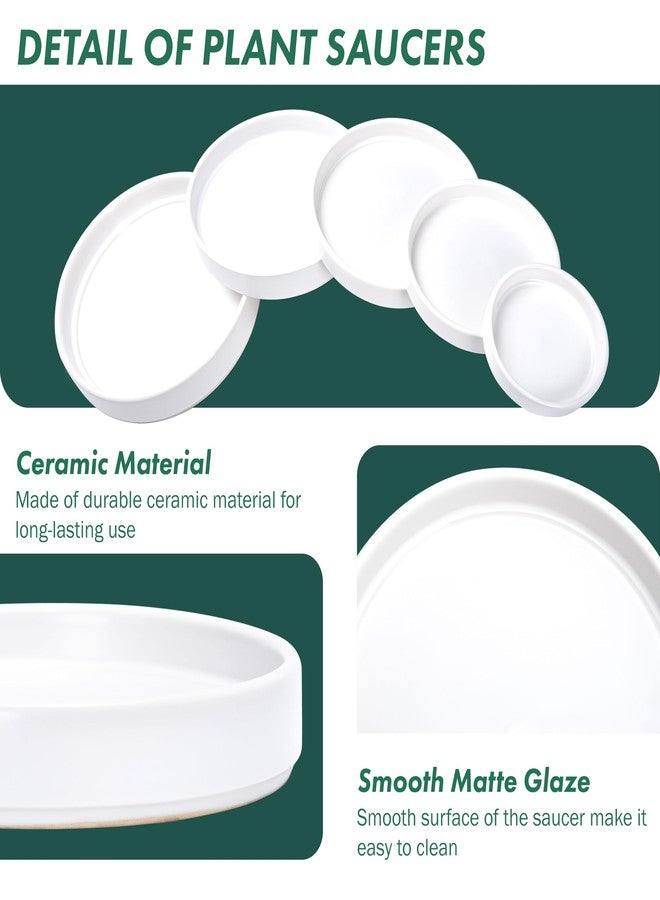D'vine Dev Modern Round 5.4 Inch Ceramic Plant Pot Saucer, Planter Pot Drainage Tray for Indoor Plants, Matte White, 97-T-A-2 - Image 4